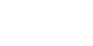 Fiat-Pro